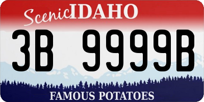 ID license plate 3B9999B