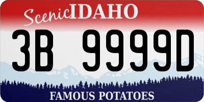 ID license plate 3B9999D