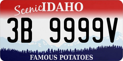 ID license plate 3B9999V
