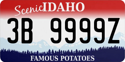 ID license plate 3B9999Z