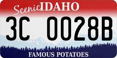 ID license plate 3C0028B