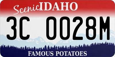 ID license plate 3C0028M