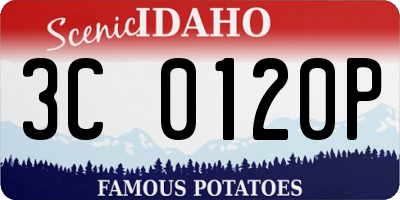 ID license plate 3C0120P