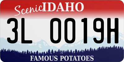 ID license plate 3L0019H