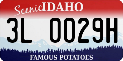 ID license plate 3L0029H