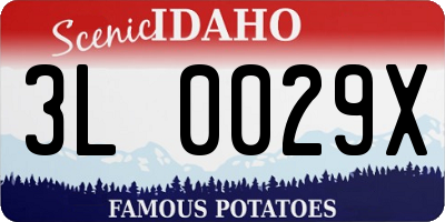 ID license plate 3L0029X