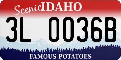 ID license plate 3L0036B
