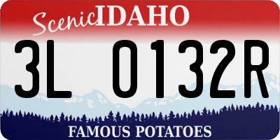ID license plate 3L0132R