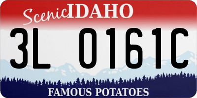 ID license plate 3L0161C
