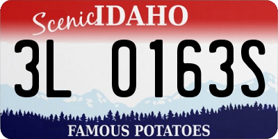 ID license plate 3L0163S