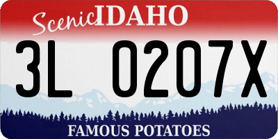 ID license plate 3L0207X