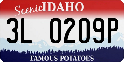 ID license plate 3L0209P