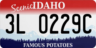 ID license plate 3L0229C