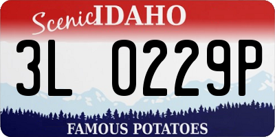 ID license plate 3L0229P