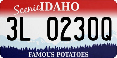 ID license plate 3L0230Q