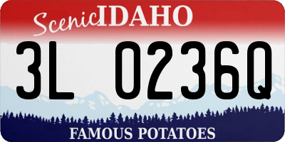 ID license plate 3L0236Q