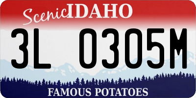 ID license plate 3L0305M