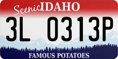 ID license plate 3L0313P