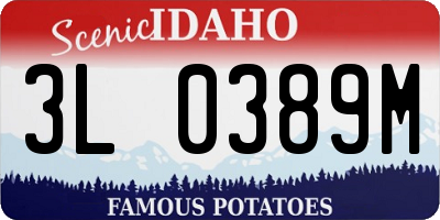 ID license plate 3L0389M
