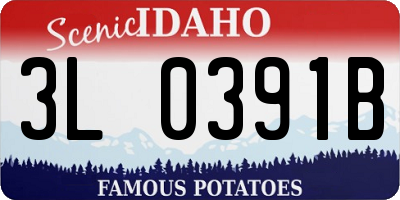 ID license plate 3L0391B