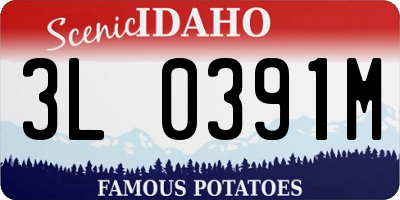ID license plate 3L0391M