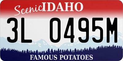 ID license plate 3L0495M