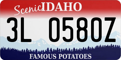 ID license plate 3L0580Z