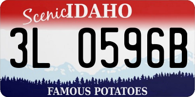 ID license plate 3L0596B