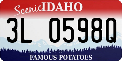 ID license plate 3L0598Q