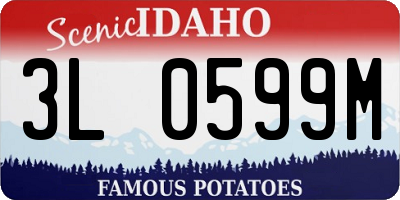 ID license plate 3L0599M