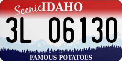 ID license plate 3L0613O