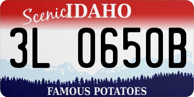 ID license plate 3L0650B