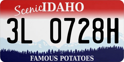 ID license plate 3L0728H