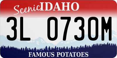 ID license plate 3L0730M