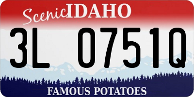 ID license plate 3L0751Q