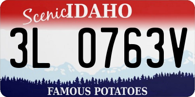 ID license plate 3L0763V