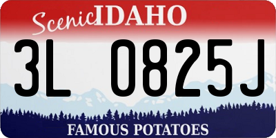ID license plate 3L0825J