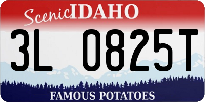 ID license plate 3L0825T