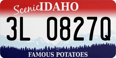 ID license plate 3L0827Q