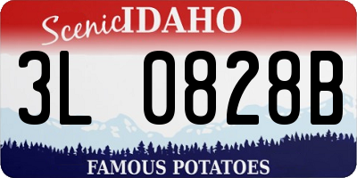 ID license plate 3L0828B