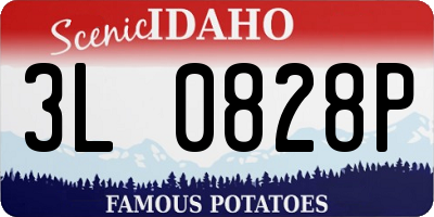 ID license plate 3L0828P