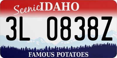 ID license plate 3L0838Z