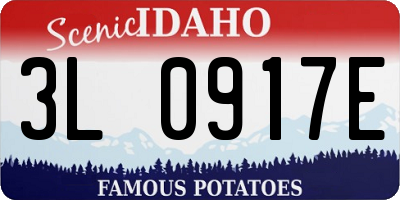 ID license plate 3L0917E