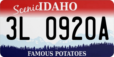 ID license plate 3L0920A