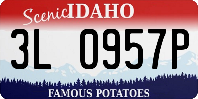 ID license plate 3L0957P