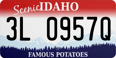 ID license plate 3L0957Q