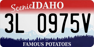 ID license plate 3L0975V