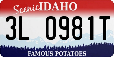 ID license plate 3L0981T