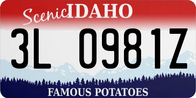 ID license plate 3L0981Z