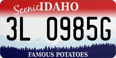 ID license plate 3L0985G